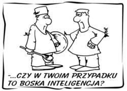boska inteligencja